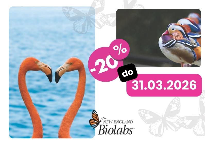 Delate PCR? Izkoristite -20 % na NEB OneTaq in Q5