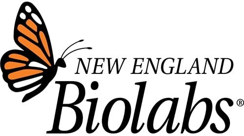 Q5 High-Fidelity DNA Polimeraza