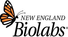 OneTaq DNA Polimeraza